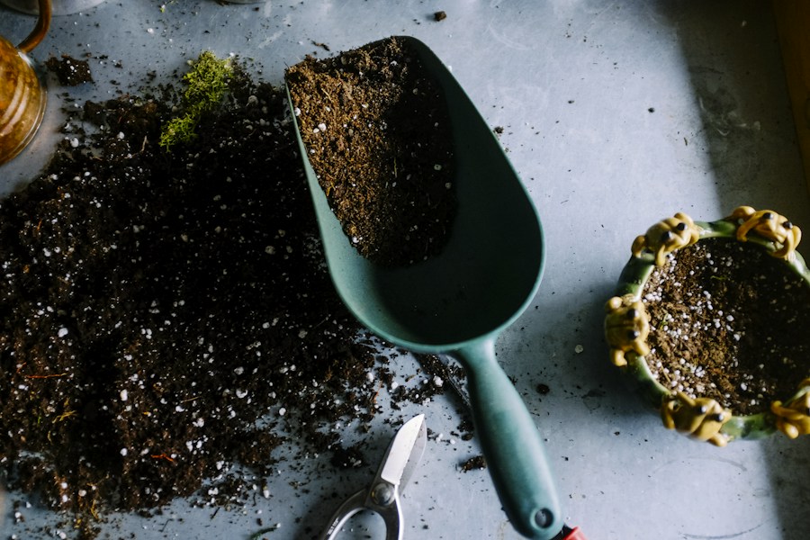 Indoor plants and everyday gardening objects